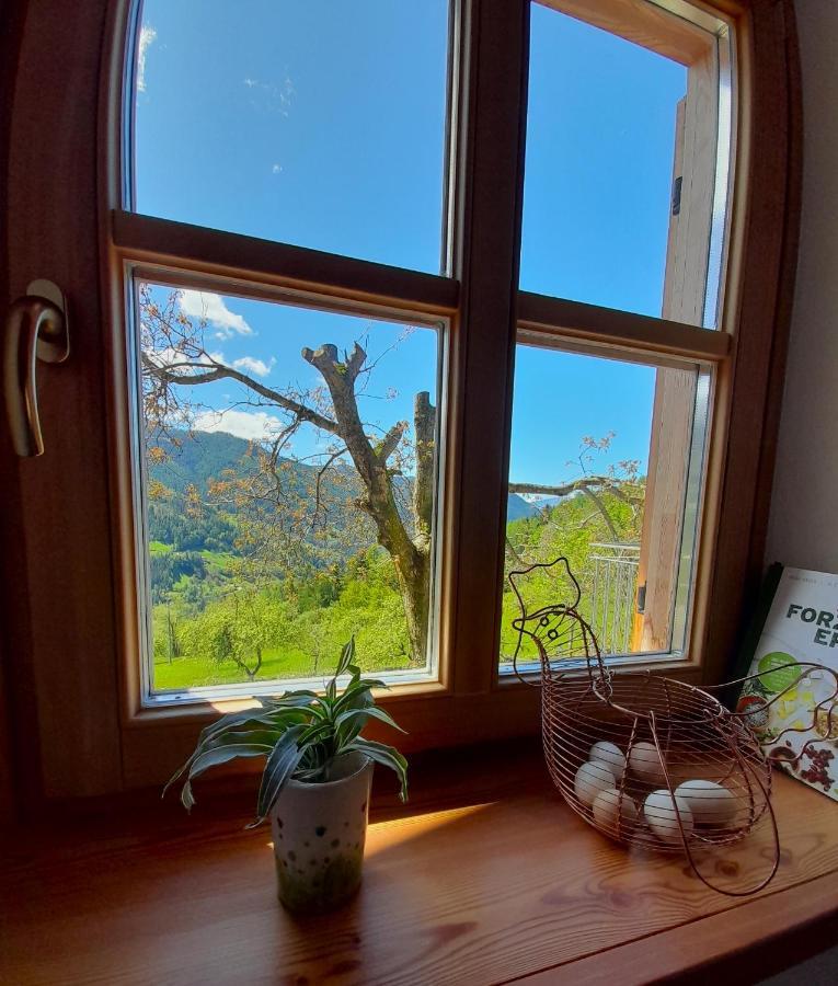 B&B Chalet Dolomiti Sant'Orsola Dış mekan fotoğraf