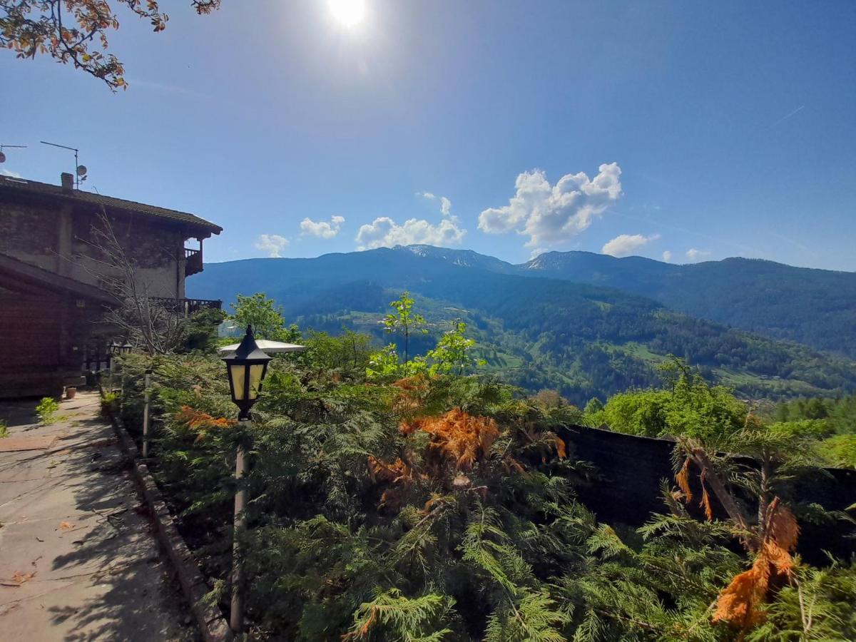 B&B Chalet Dolomiti Sant'Orsola Dış mekan fotoğraf