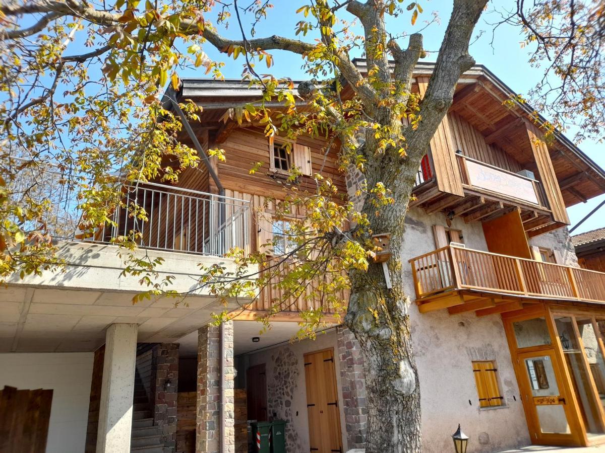 B&B Chalet Dolomiti Sant'Orsola Dış mekan fotoğraf