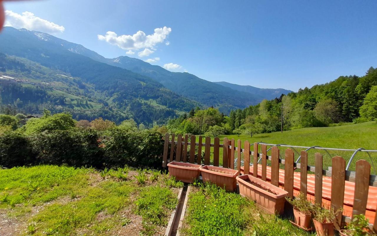B&B Chalet Dolomiti Sant'Orsola Dış mekan fotoğraf