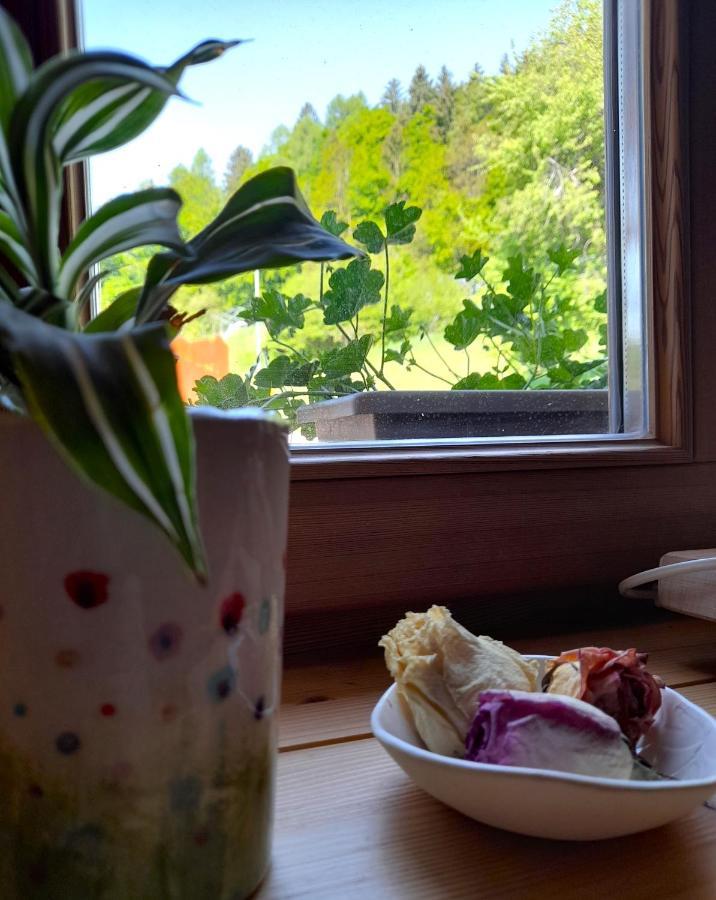 B&B Chalet Dolomiti Sant'Orsola Dış mekan fotoğraf