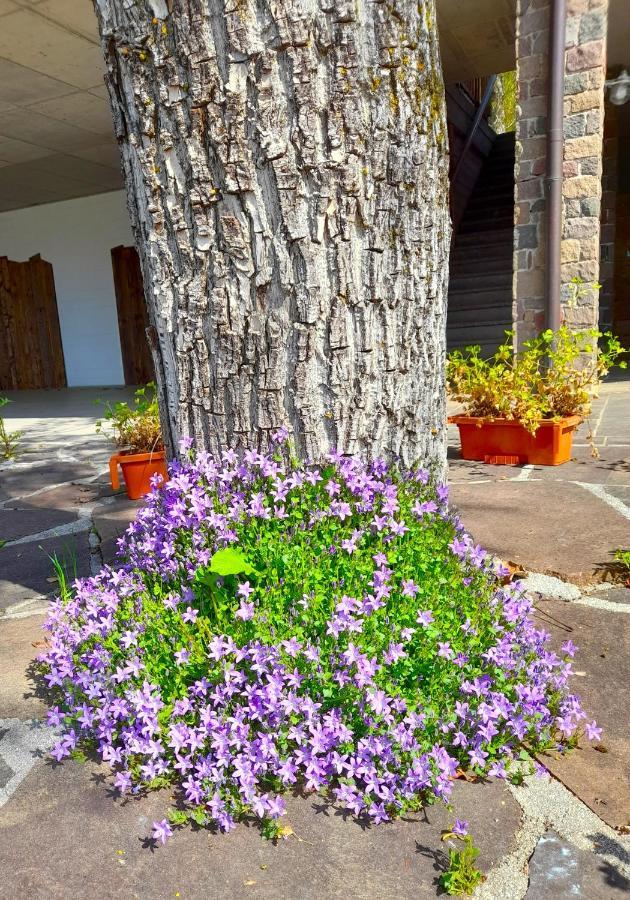B&B Chalet Dolomiti Sant'Orsola Dış mekan fotoğraf