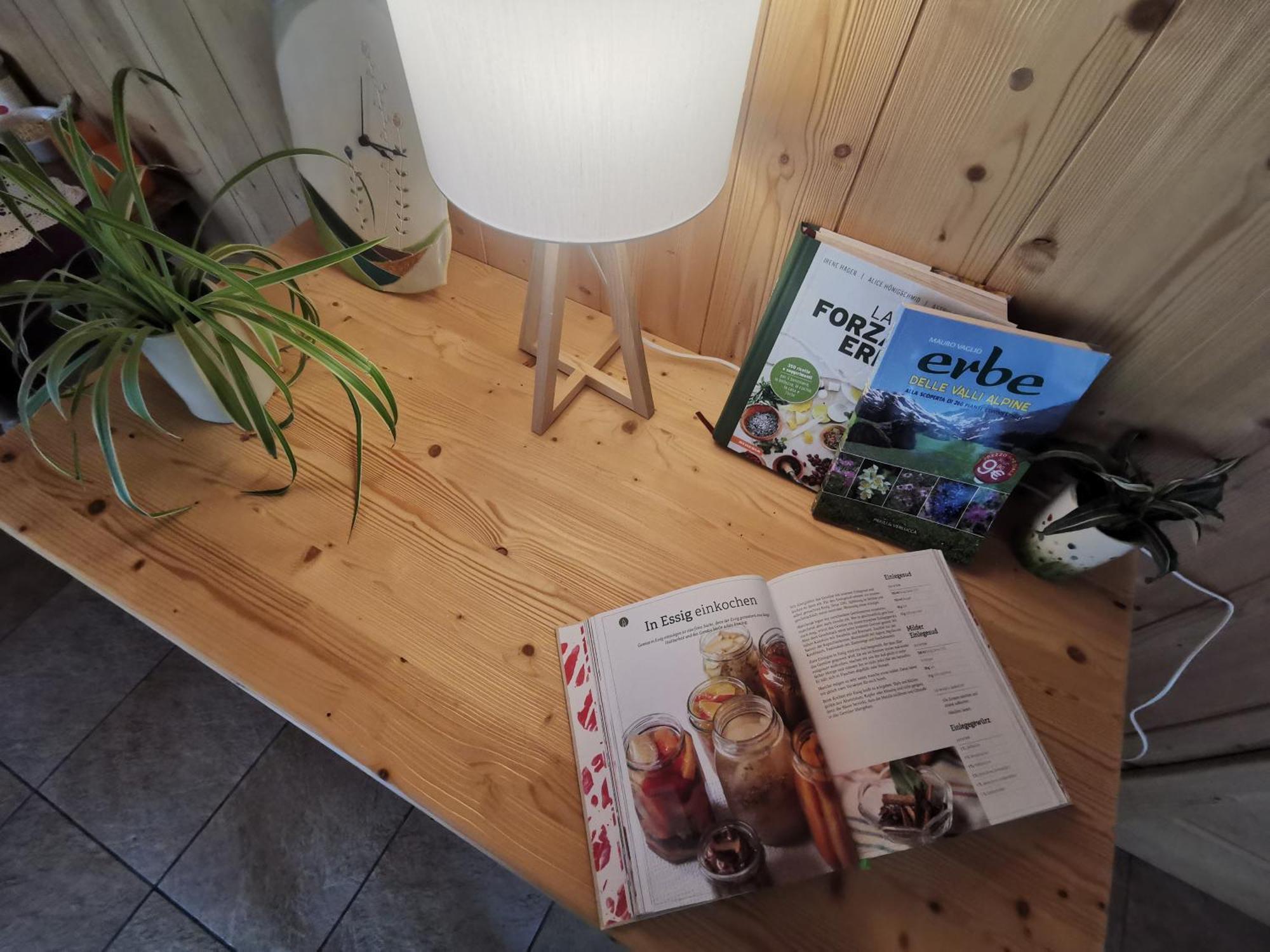 B&B Chalet Dolomiti Sant'Orsola Dış mekan fotoğraf