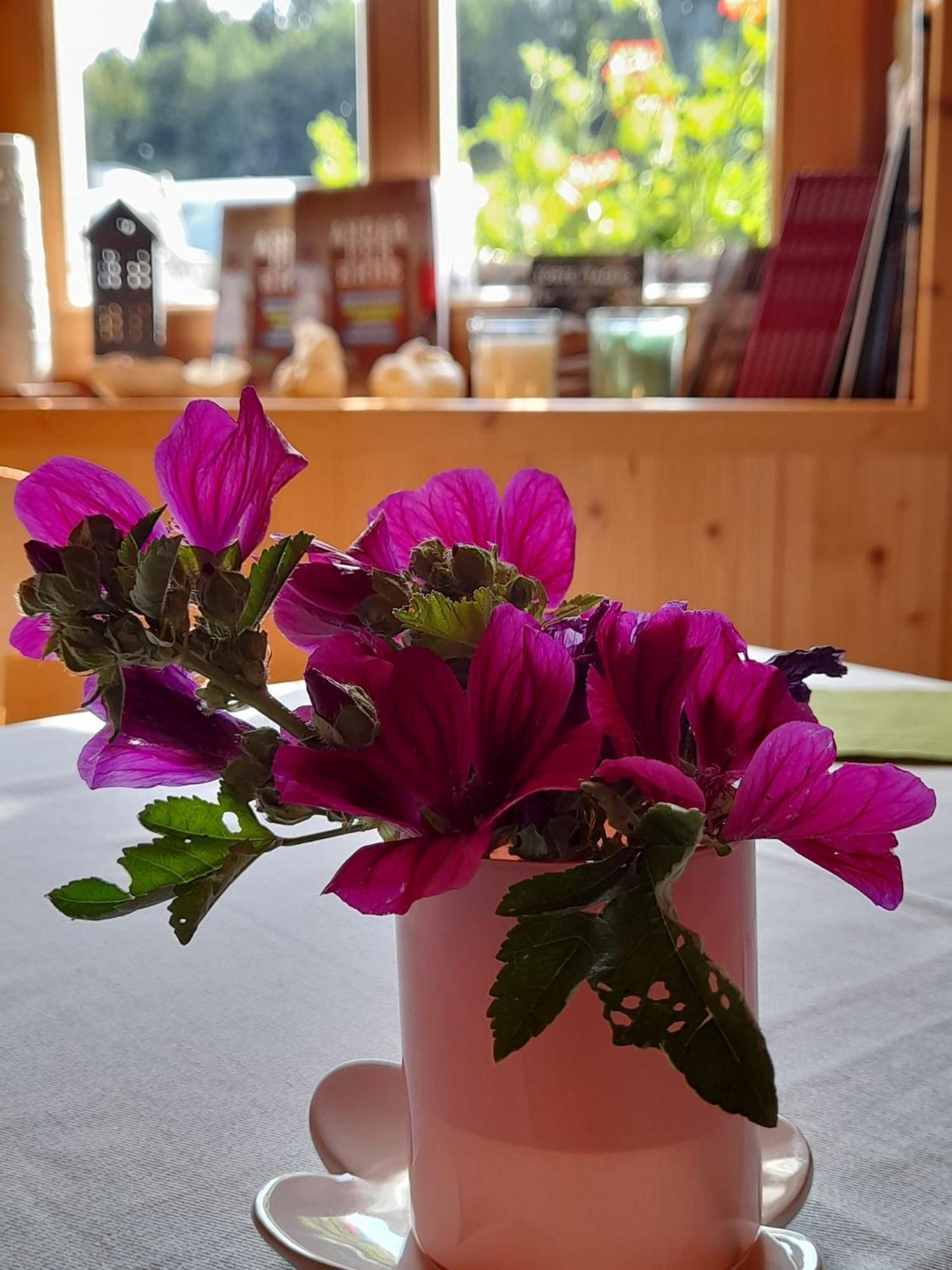 B&B Chalet Dolomiti Sant'Orsola Dış mekan fotoğraf